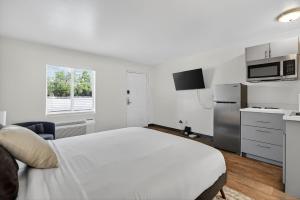 Chic furnished studio with inviting modern decor