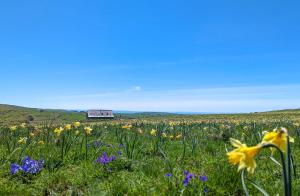 Buron de Léon, en plein cœur de l Aubrac