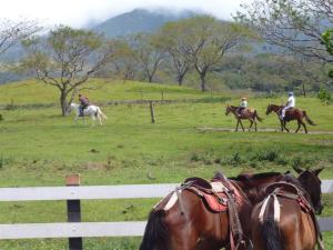 Villa Mariposa 10 Luxury Beachfront Escape