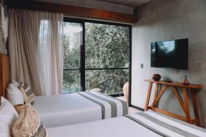 Luum Vibe, Free soul and a refuge in the jungle