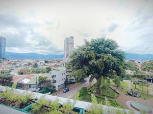 Lovely comfy studio in the city, with AC