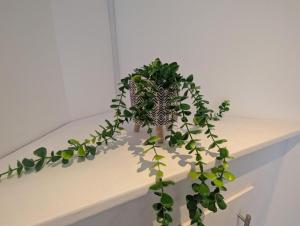 City Escape - 1 Bedroom Flat in Swansea Centre