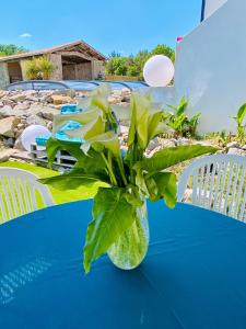 La Cour de la Forêt