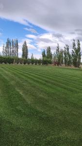 Camping Los Cardones