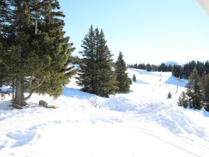 Appartement 52 m² avec balcon, Chamrousse, 4-6 pers. - FR-1-549-41