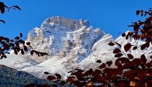 Appartamento Vale e Schena Cortina DAmpezzo
