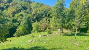 Apartman San Slunj Rastoke