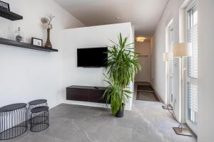 Altenbeken- Ferienwohnung 1