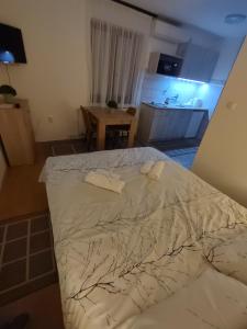 Apartman Stay 23 Studio