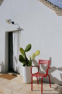 Cummersa Monte Olimpo 5