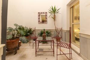 Fuente de Plata, Apartment and patios, step-free, historical center