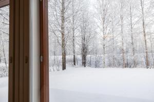 Arctic Haven By BookLapland