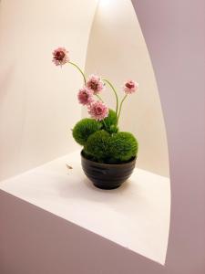 La Mơ - La Soul 89, wabisabi room in Ho Chi Minh