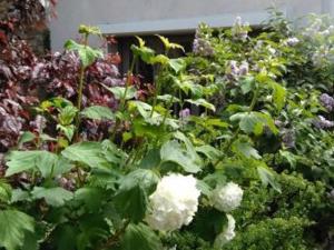 Gîte rénové avec terrasse près de Nancy - Calme et charme garanti - FR-1-584-35