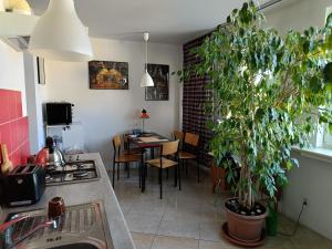 W Nowym Centrum Łodzi, parking