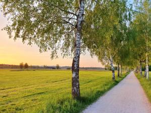Ferienwohnung SCHALL - Erholung zwischen Bergen und Chiemsee