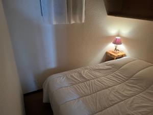 Superbe Appartement T2 - Alpe dHuez Quartier ECLOSE - vue imprenable exposé SUD