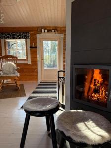 Kantolammen mökki 66m2,puusauna ja palju-extra