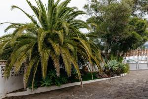 Casa Vidana con jardín privado y pista de pádel