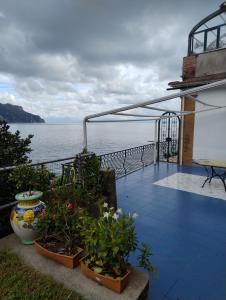 VILLA DI PALMA access to the beach and solarium