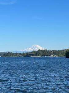 Elegant 1BR Retreat in Columbia City Seattle