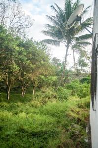 Owl House, Large and comfortable Suite