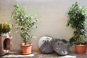 B&B Terre del Sinis img50