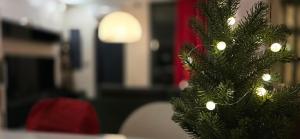 Arctic Villa Iisakki