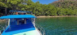 Dalyan Boat Tours