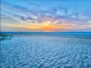 Sandy Sea Turtle Pet Friendly Condo with Ocean Views