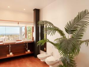 Canaryislandshost l Pausa