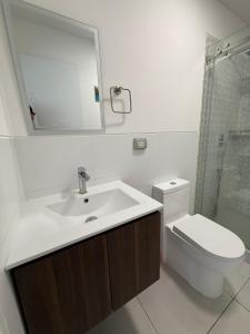 Departamento Vizuale