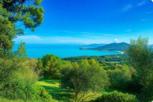 Azulik Corsica