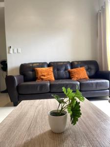 Condotels by Tribecca Private