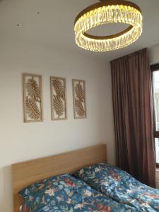 apartament w centrum Wrocławia Odra Tower