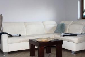 Domki nad jeziorem Ostoja Głuszyńska