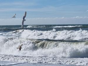 5 person holiday home in Harboøre-By Traum