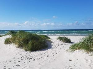 8 person holiday home in Ebeltoft-By Traum