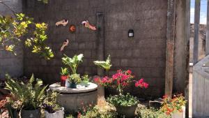 Recanto do Cajueiro - Luís Correia - Piauí