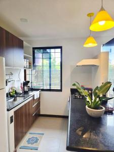 Casa Pimenta - Apto aconchegante perto da rua do Mucugê