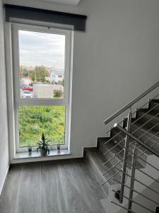 Pension Boardinghaus Dingolfing