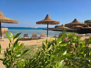 Dive Hostel Hurghada Beach