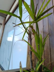 Aconchegante com Ótimo preço, Vem conferir!