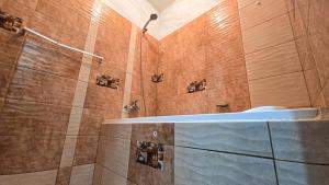 Sierra Nevada Premium