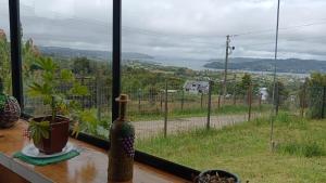 Vista canal dalcahue