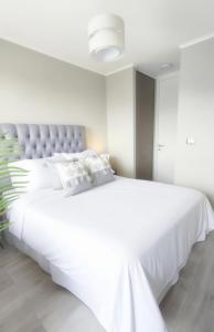 Departamento Vista Espectacular Conectividad Total