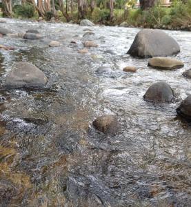 Apartamento confortable CRISANDRE