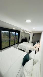 House Green el cafetal