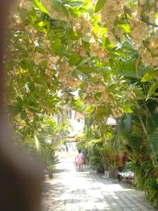 ouychai resort home stay