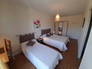 Appartement lumineux T2 avec Wi-Fi et lave-linge, centre La Roche-Posay - FR-1-541-182